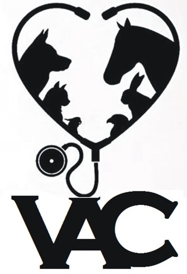 VAC Enterprise Logo