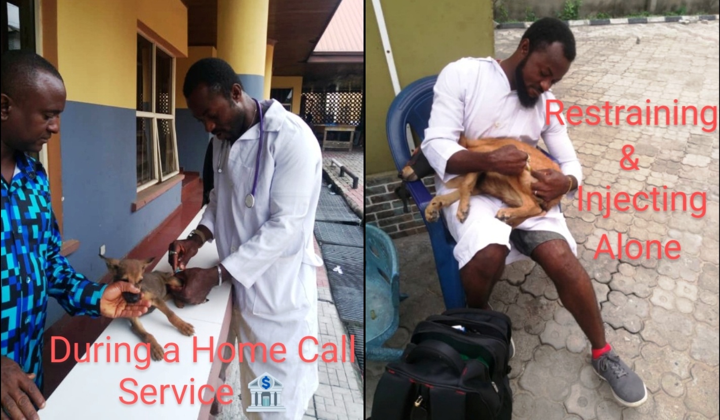 Home Call Services and Restraint