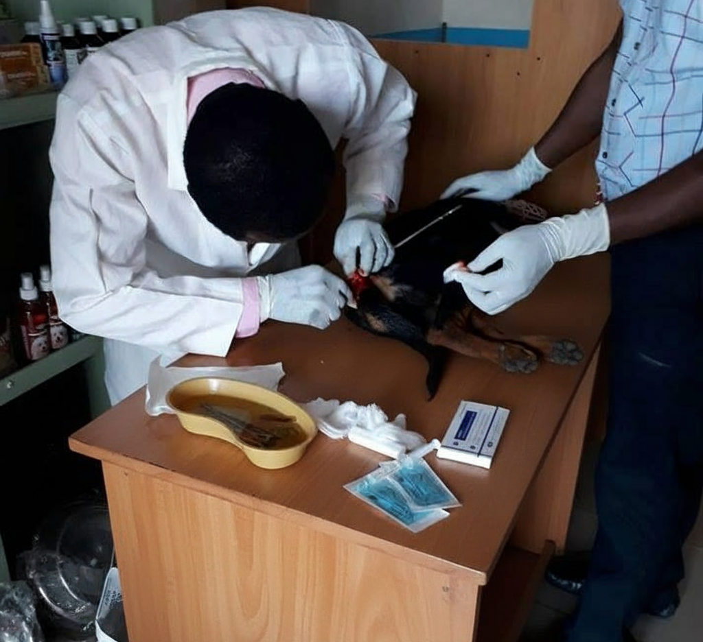 In-Clinic Surgery Suite