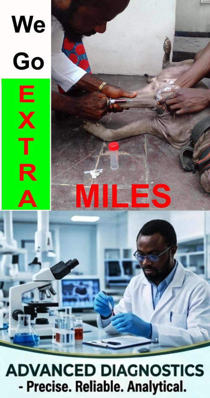 We Go Extra Miles Diagnostics